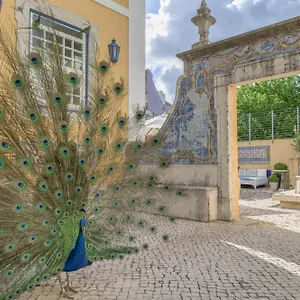 Solar Do Castelo - Heritage Collection - Alfama Lisbon